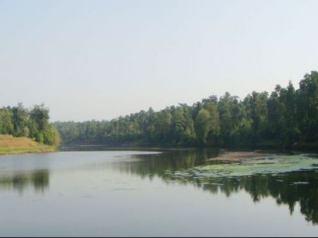 વાંસદા રાષ્ટ્રીય ઉદ્યાન વાંસદા રાષ્ટ્રીય ઉદ્યાન