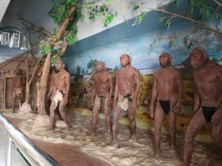 સાપુતારામાં સંગ્રહાલય સાપુતારામાં સંગ્રહાલય