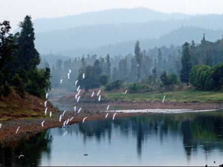 'મેઘ બહાર'માં સોળે કળાએ ખીલી ઊઠે છે સાપુતારા