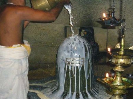 કાલસર્પ દોષ અને પિતૃ દોષથી મુક્તિ કાલસર્પ દોષ અને પિતૃ દોષથી મુક્તિ