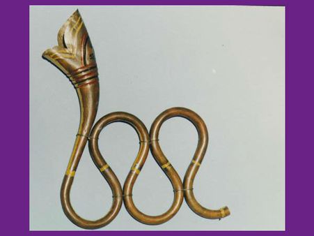 નાગફણી