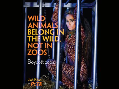 જિયા ખાન જિયા ખાન