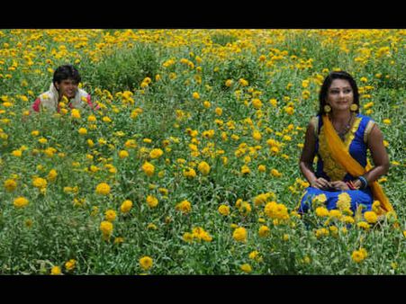 બરકત સર્વેસર્વા