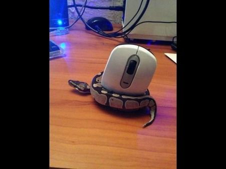 Top funny photographs from Facebook