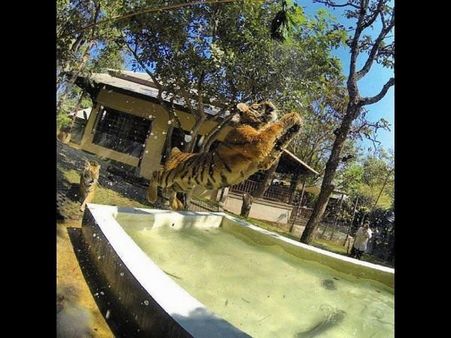 Top funny photographs from Facebook