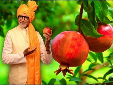 જુઓ હવે અમિતાભ બચ્ચન વેચી રહ્યાં છે ફળ!