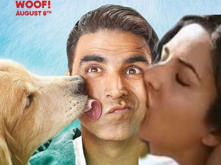 પૅક-અપ બાદ Kat તરફ પણ ન જોનાર ખિલાડી Dogના મોહે ફસાયો