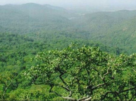 ભરૂચ ગુજરાતનું સૌથી જૂનું શહેર છે