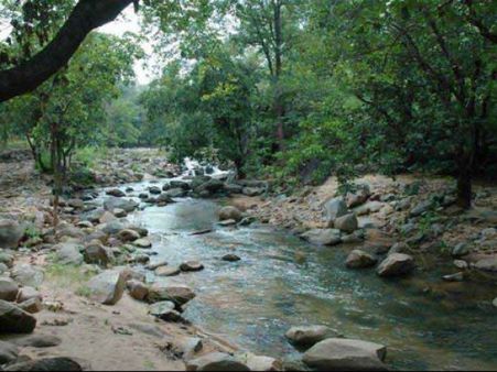 વ્યાપાર માટેનું મુખ્ય બંદર હતું ભરૂચ