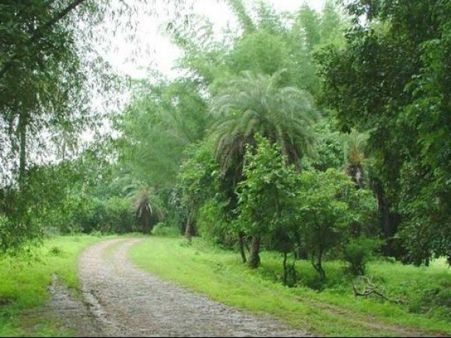 ભરૂચમાં તહેવાર