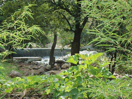 રતનમહલ આળસુ રીંછ અભયારણ્ય