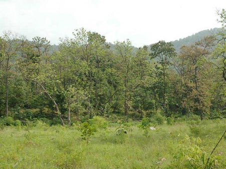 રેલ્વે દ્વારા અને ઉડ્ડયન દ્વારા