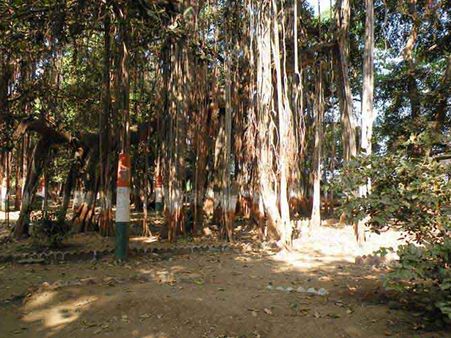 નાવમાં બેસીને આ જગ્યાએ પહોંચી શકાય છે