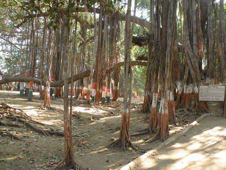 અપાર શાંતિ અને પવિત્રતા