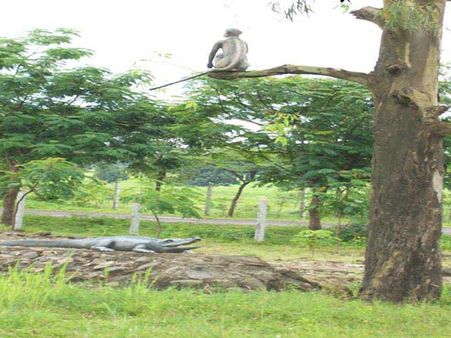 કેવી રીતે પહોંચશો અહીં