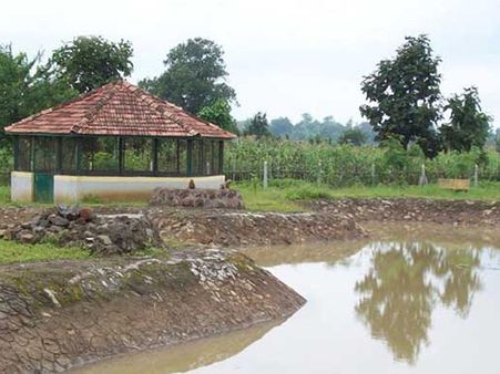 કેવી રીતે પહોંચશો અહીં