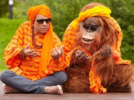 વાયપીડી 2