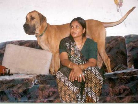 શેર સિંહ કેવી રીતે અને કેમ કરી હત્યા