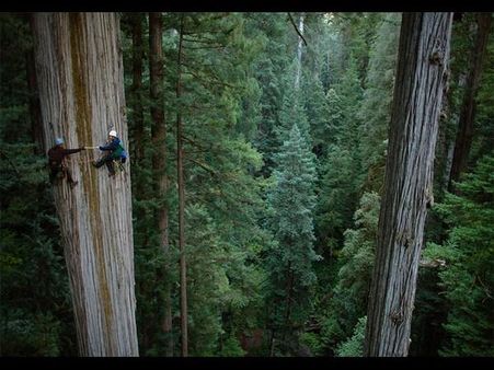 Photos That Will Make Your Heart Skip A Beat