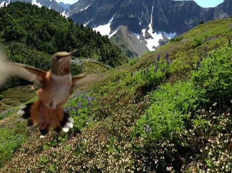 Best Photobombs Ever Caught On Camera