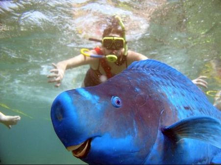 Best Photobombs Ever Caught On Camera