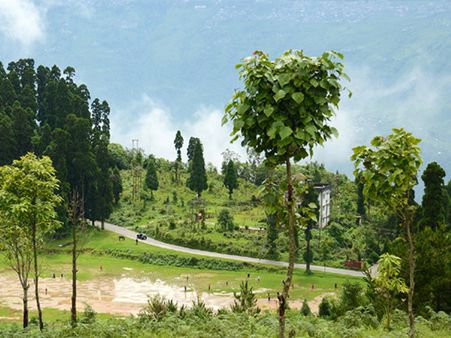 મિરિક મિરિક