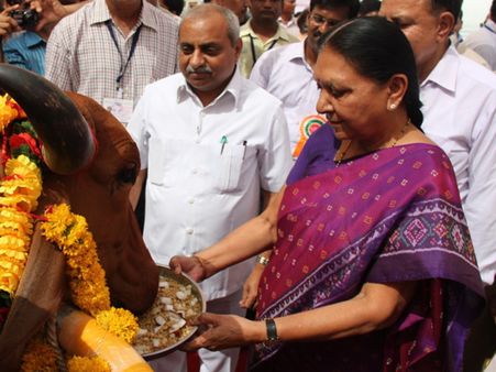 આનંદીબેન પટેલનો સંદેશ...