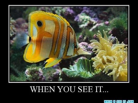 વિચિત્ર તસવીરો