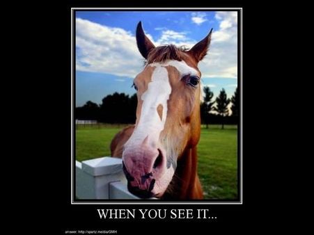 વિચિત્ર તસવીરો