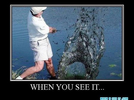 વિચિત્ર તસવીરો