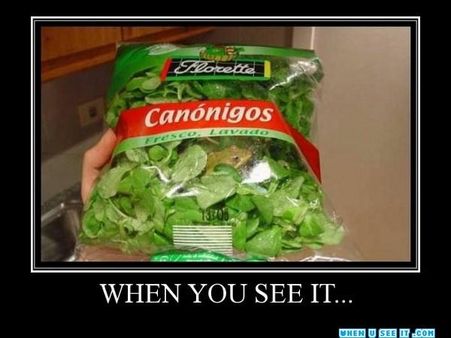 વિચિત્ર તસવીરો