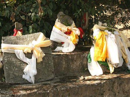 મૈત્રીનું સ્થાયી બંધન