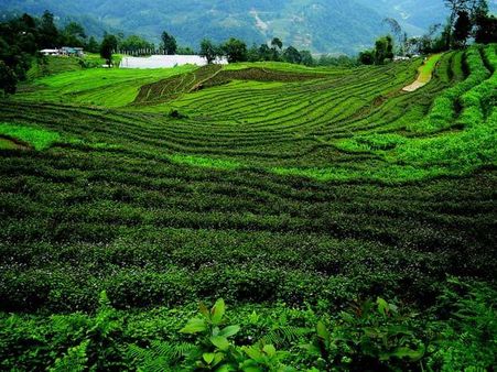 મન મોહી લેનાર સૌંદર્ય