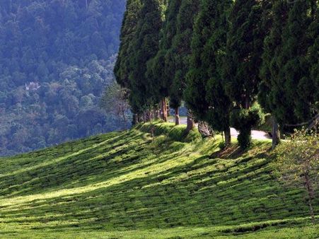 એક વોલ્ક જે હંમેશા યાદ રહે