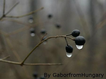 ટપકતી બૂંદોનો સાથ