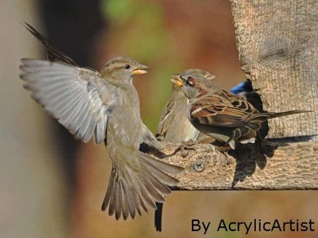 હું જમવાનું લઇને આવ્યો છું