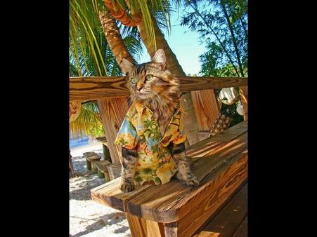 ફોટોગ્રાફી ડે નિમિત્તે કેટલીંક ખાસ તસવીરો