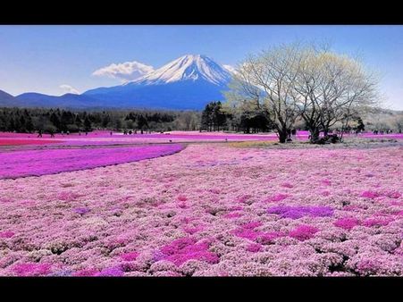 ફોટોગ્રાફી ડે નિમિત્તે કેટલીંક ખાસ તસવીરો