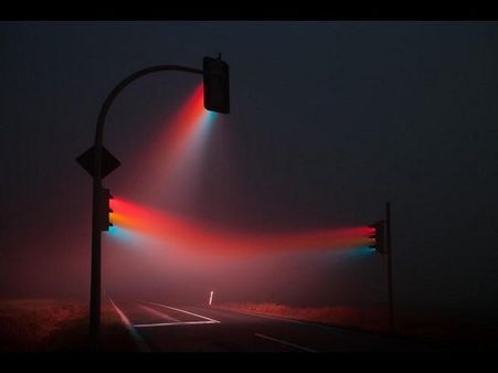 ફોટોગ્રાફી ડે નિમિત્તે કેટલીંક ખાસ તસવીરો