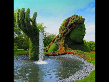 ફોટોગ્રાફી ડે નિમિત્તે કેટલીંક ખાસ તસવીરો