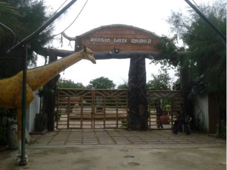 કેવી રીતે જશો