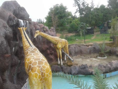 કેટલો છે ચાર્જ