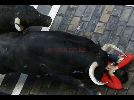 આને કહેવાય જોખમી સેલ્ફી 