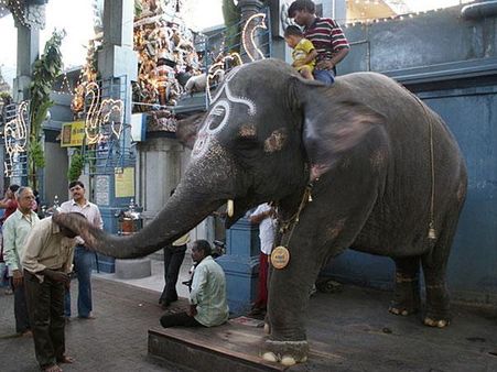 મનાકુલા વિનયાગર મંદિર મનાકુલા વિનયાગર મંદિર