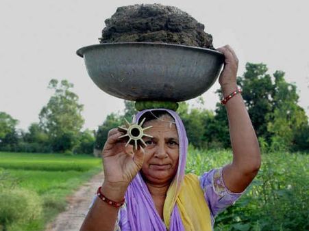  લીલાછમ ખેતરો અને ખતરો