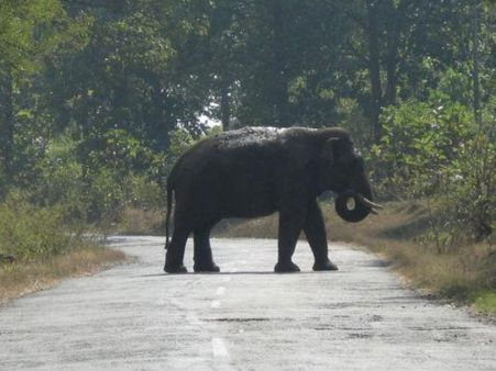 જ્યા દેખાય છે પ્રકૃતિ જ્યા દેખાય છે પ્રકૃતિ
