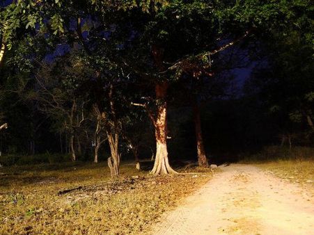 Pics: દિલ્હીના ડરમણા સ્થળ જેને જોવાથી ડરે છે લોકો