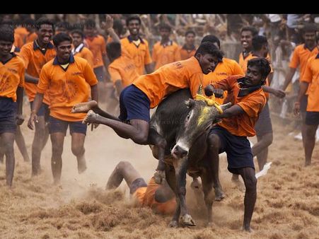 ટ્રાવેલ ફોટોગ્રાફીના શોખીનો માટે મક્કા છે આપણું ભારત, જુઓ તસવીરો