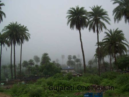 મનની ઇચ્છા પુરી થાય છે