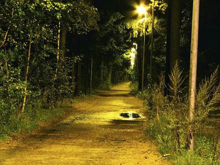 6.ઓલ્ડનૉલ રોડ અકસ્માત